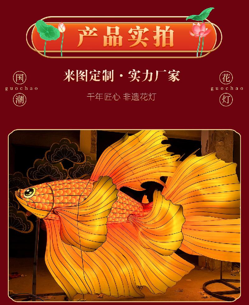 凤尾鱼_01 (6)